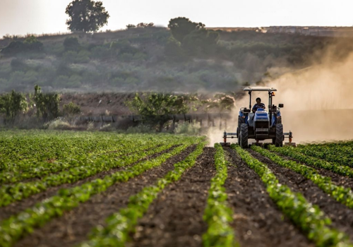 Statisticile agricole vor deveni fiabile Statisticile agricole vor deveni fiabile