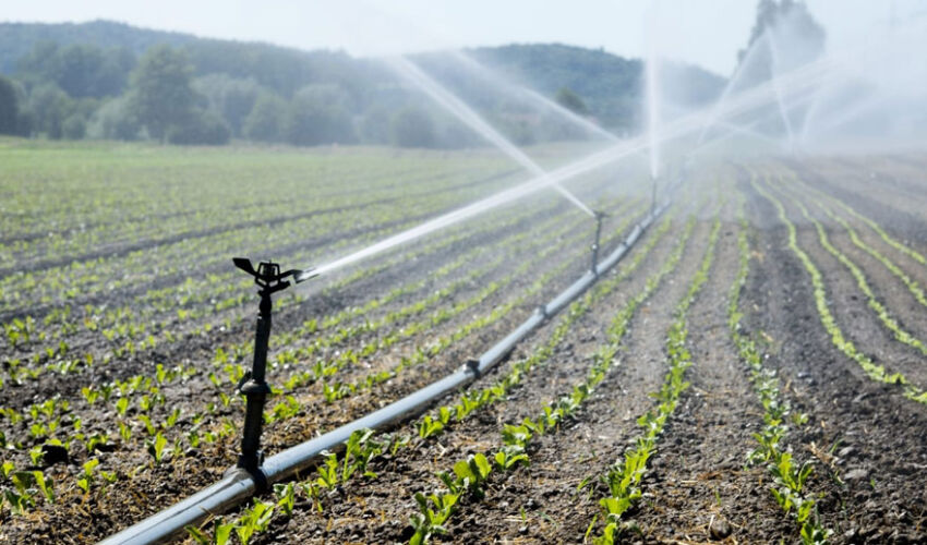 Irigații, păduri și drumuri pentru agricultori Irigații, păduri și drumuri pentru agricultori