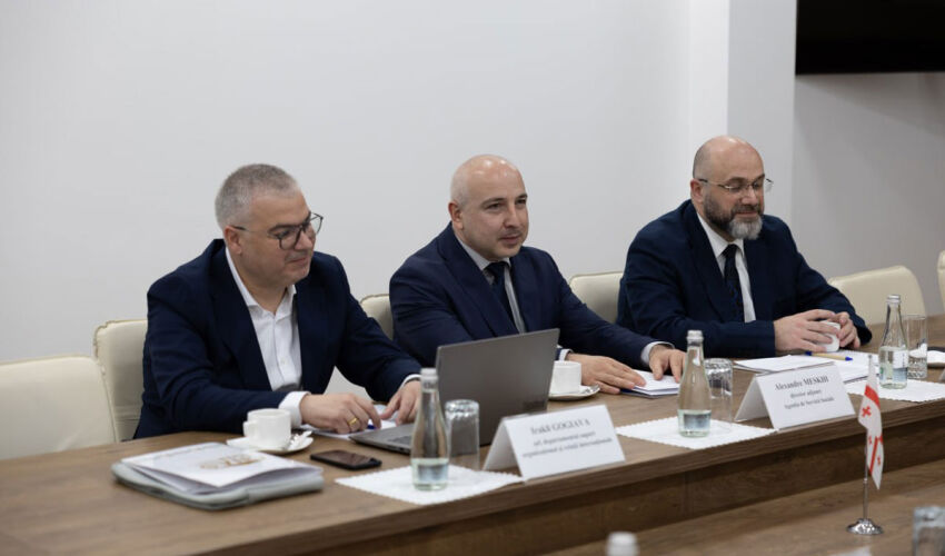 Delegation of the Social Services Agency of Georgia