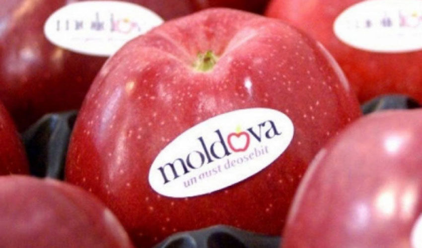 Apple of discord: Cabinet reaction to Russia’s ban on Moldovan imports Apple of discord: Cabinet reaction to Russia’s ban on Moldovan imports