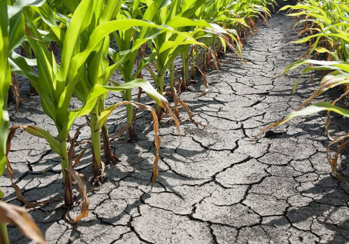 Aproape 130 de milioane de lei vor fi alocate pentru combaterea dezastrelor naturale