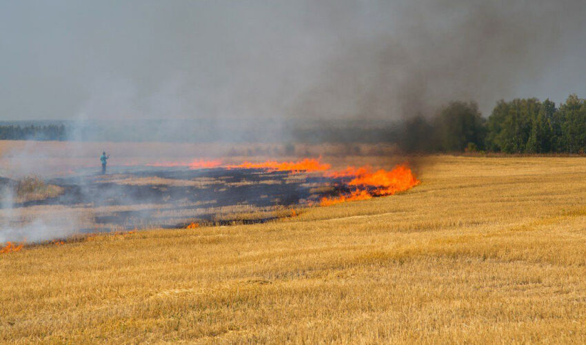“Yellow Alert” Due to Fire Risk Throughout Moldova fire hazard