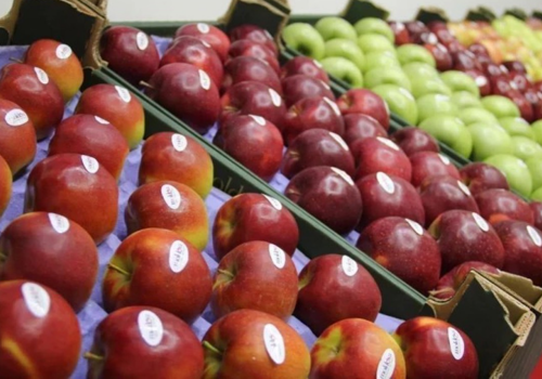 Will Moldova Be Able to Capitalize on the Decline in Apple Production in the EU? Will Moldova Be Able to Capitalize on the Decline in Apple Production in the EU?