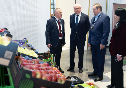 Выручка от экспорта молдавских фруктов по итогам 2025 вырастет Выручка от экспорта молдавских фруктов по итогам 2025 вырастет