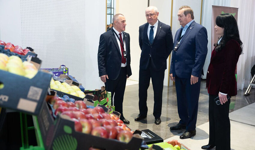 Выручка от экспорта молдавских фруктов по итогам 2025 вырастет