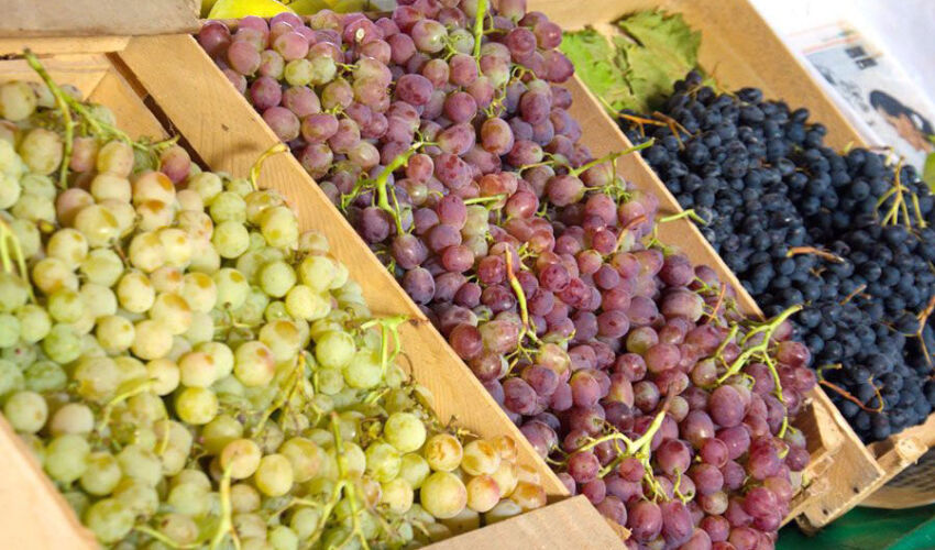 April grape exports are a forced measure April grape exports are a forced measure