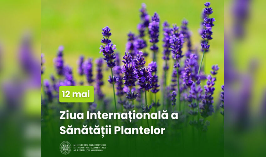 Ziua plantelor