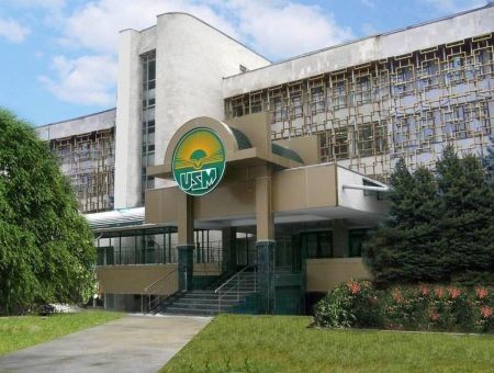 «Голландская болезнь» вузовской реорганизации