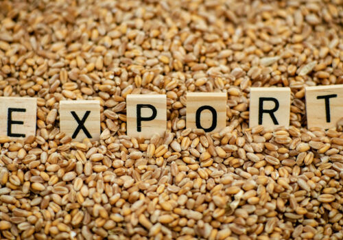 Moldova a crescut exporturile de cereale în martie – aceasta este deja o tendință