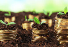 Эрдоган обещает Турции почти триллион лир на поддержку сельского хозяйства в 2026 году