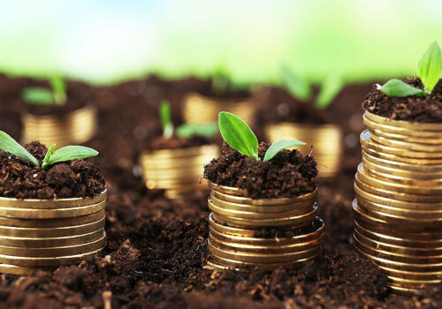 Erdogan promite Turciei aproape un trilion de lire pentru sprijinirea agriculturii în 2026