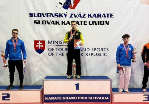 Karateka moldoveni s-au remarcat în Slovacia