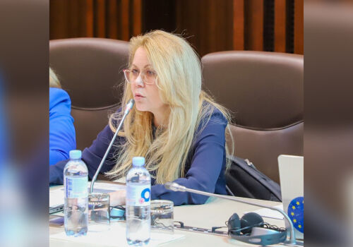 Moldova prepares a base for attracting green investments within the Net-Zero Industry