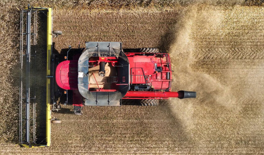 grain harvesting