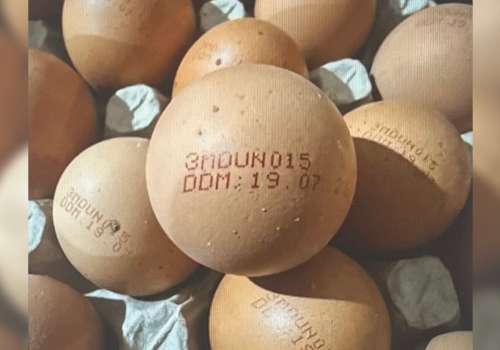 ANSA retrage de pe piață ouăle contaminate cu salmonella 
