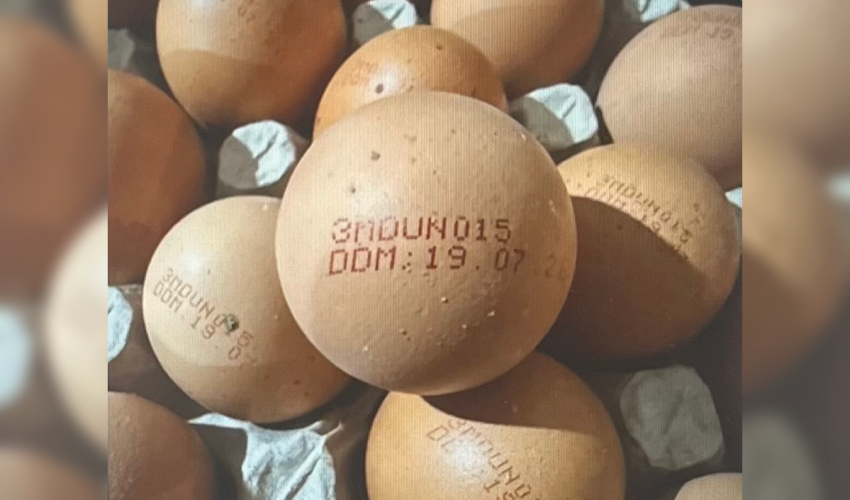 ouă