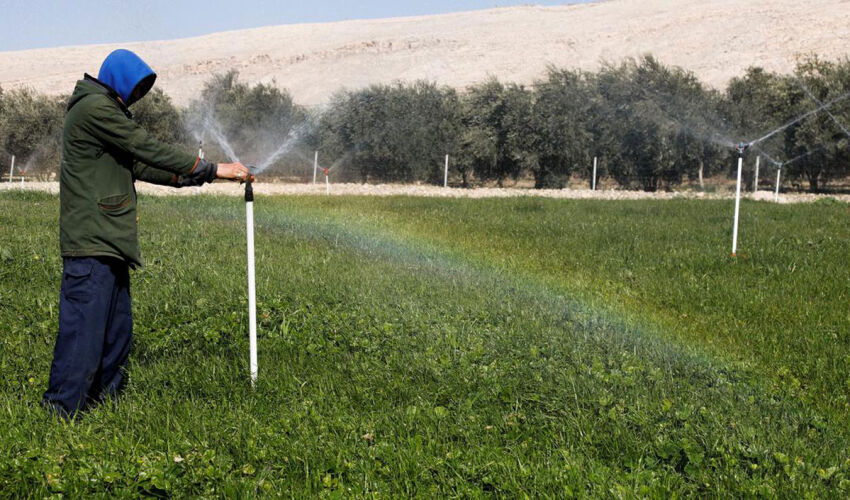 агровольтаика