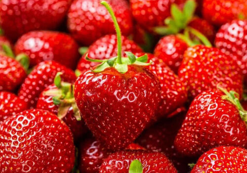 Strawberries are cheap: who will lose in the 2026 season?