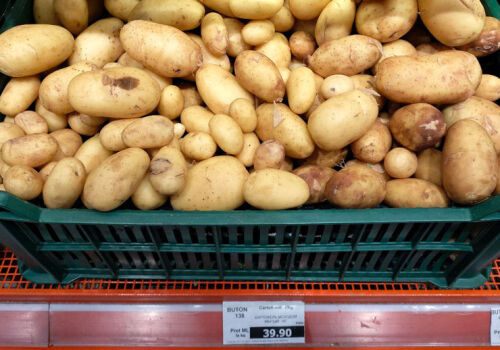 Prețul cartofului scade în Ucraina, stabil în Moldova