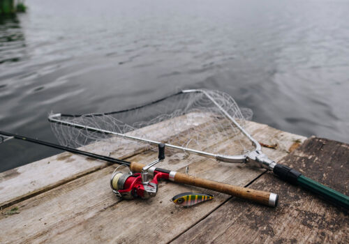 Moldova va adera la acordul FAO împotriva pescuitului ilegal