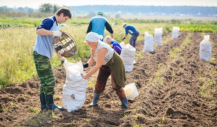 Noi reguli de acordare a subvențiilor în agricultură Noi reguli de acordare a subvențiilor în agricultură