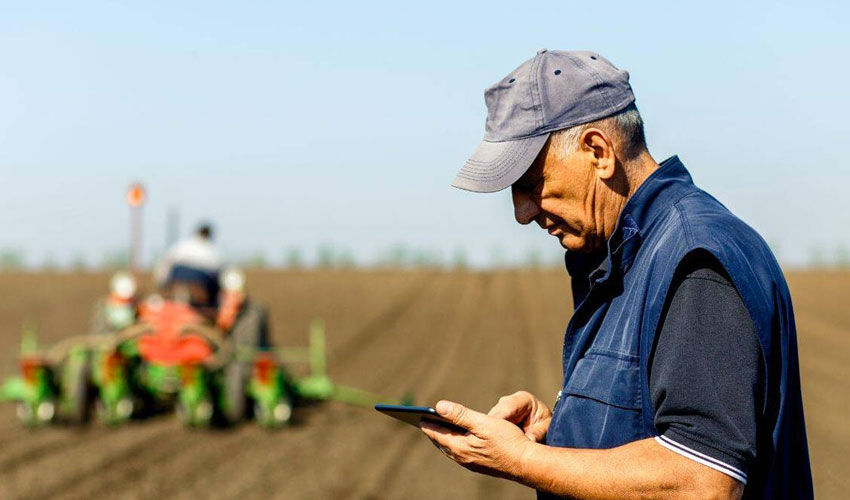 На аграрные субсидии денег дали мало