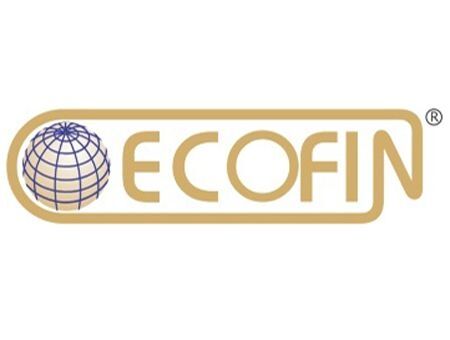 «Ecofin-Audit-Service»: 20 лет роста и совершенствования