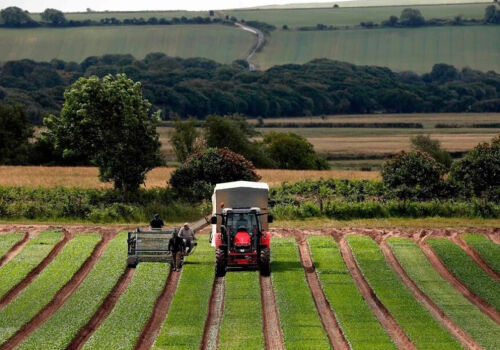 Uzbekistan is cautiously giving farmers land rights