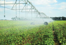 Partners will help with irrigation rehabilitation Partners will help with irrigation rehabilitation