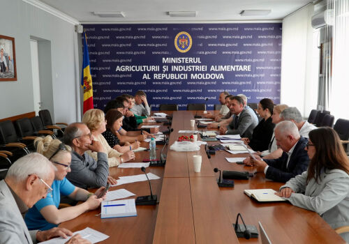 Au început discuțiile privind conceptul de program de durabilitate agricolă al Moldovei