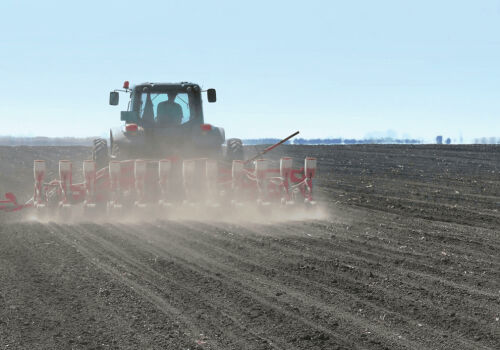 Vânturile puternice usucă solul și spulberă culturile de sfeclă de zahăr Vânturile puternice usucă solul și spulberă culturile de sfeclă de zahăr