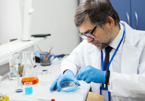 На исследование мозга выделят гранты до 50 тыс. евро На исследование мозга выделят гранты до 50 тыс. евро