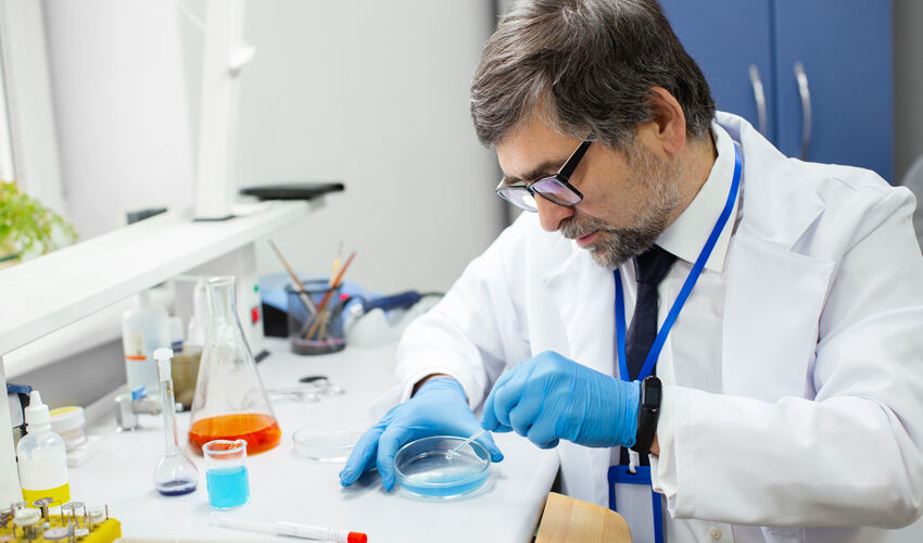 На исследование мозга выделят гранты до 50 тыс. евро