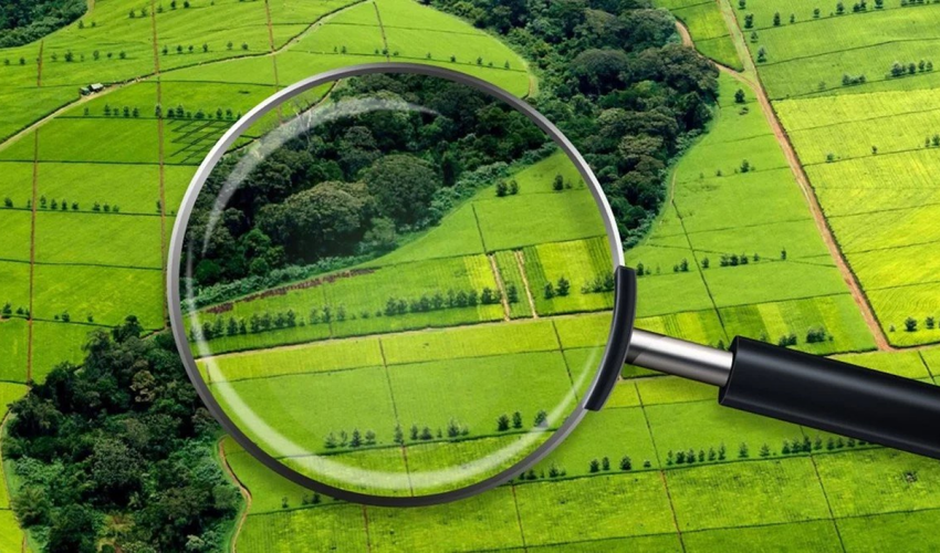 land appraisal