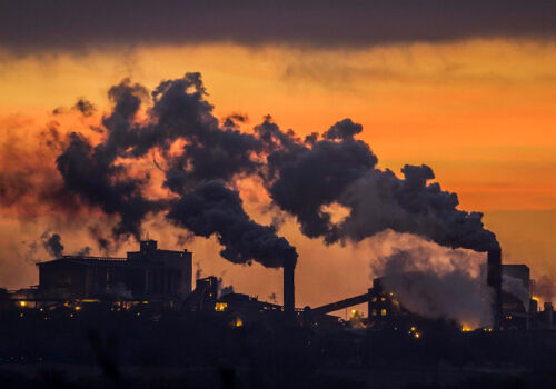 ООН: на разрушение природы тратится в 30 раз больше, чем на ее защиту