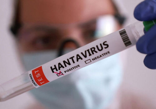 The European Commission is “taking a closer look” at hantavirus
