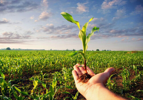 European grant for farmer associations in Moldova