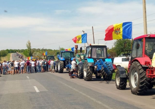 Este posibil un compromis în „problema” TVA-ului aplicat produselor alimentare?
