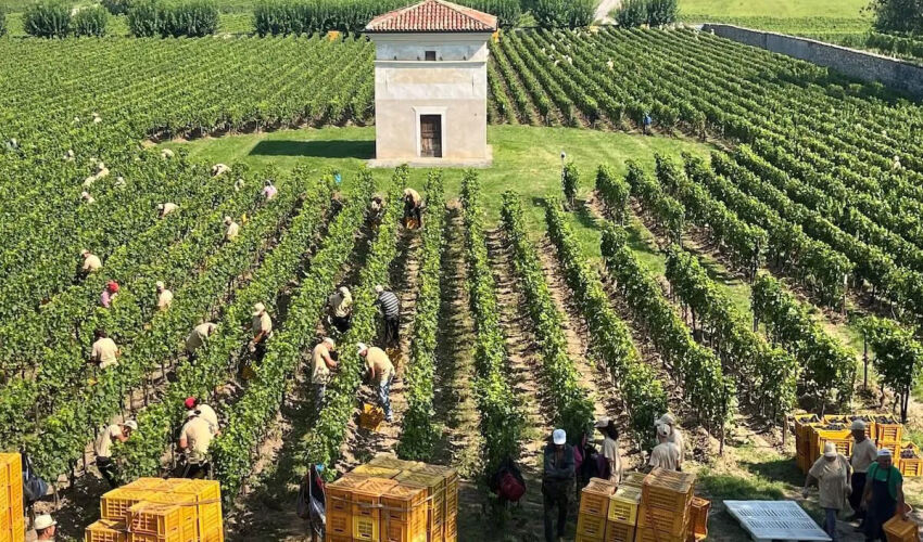 Italian farm