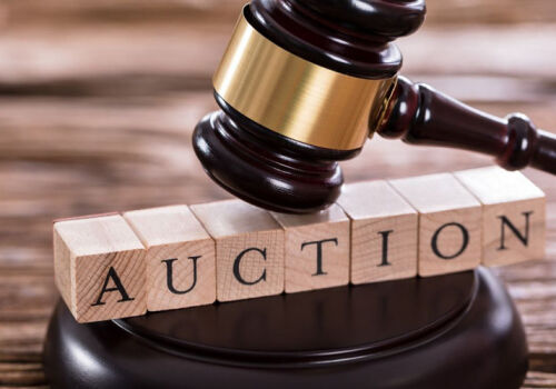 Vetclinica in Ungheni went “under the hammer” for 2 million lei Vetclinica in Ungheni went “under the hammer” for 2 million lei