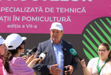 Exporturile de fructe moldovenești s-ar putea reduce la jumătate în noul sezon