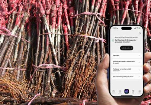 Serviciile ANSA – acum în format digital