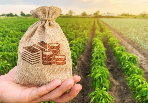 Fermierii au primit prima tranșă a subvențiilor de primăvară