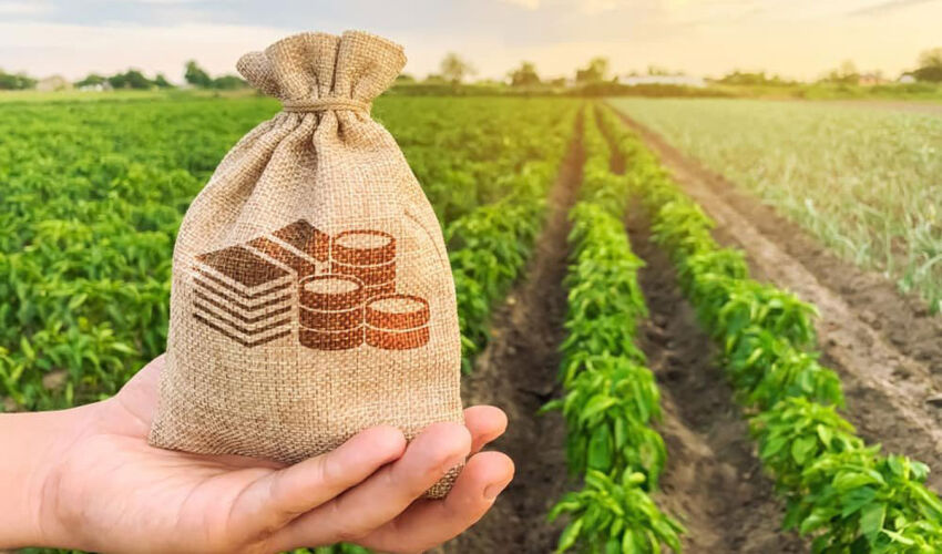 субсидии фемерам