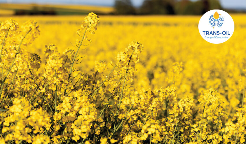 „Investim în dezvoltarea durabilă a economiei agroindustriale a Moldovei” „Investim în dezvoltarea durabilă a economiei agroindustriale a Moldovei”