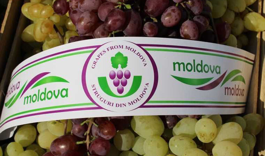 Winegrowers have “bought tickets” to EU trade networks