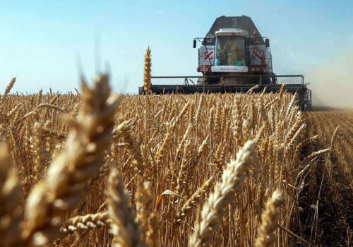 Moldova și Israelul vor cultiva grâu împreună