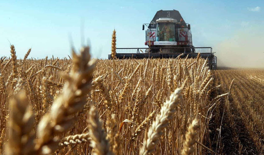 Moldova și Israelul vor cultiva grâu împreună Moldova și Israelul vor cultiva grâu împreună