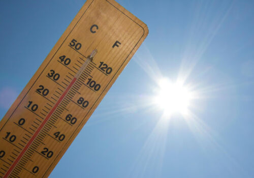 Аномальная жара в США бьёт все рекорды уже 20 марта Аномальная жара в США бьёт все рекорды уже 20 марта