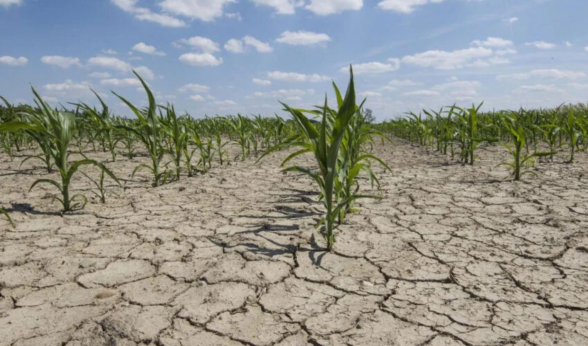 drought